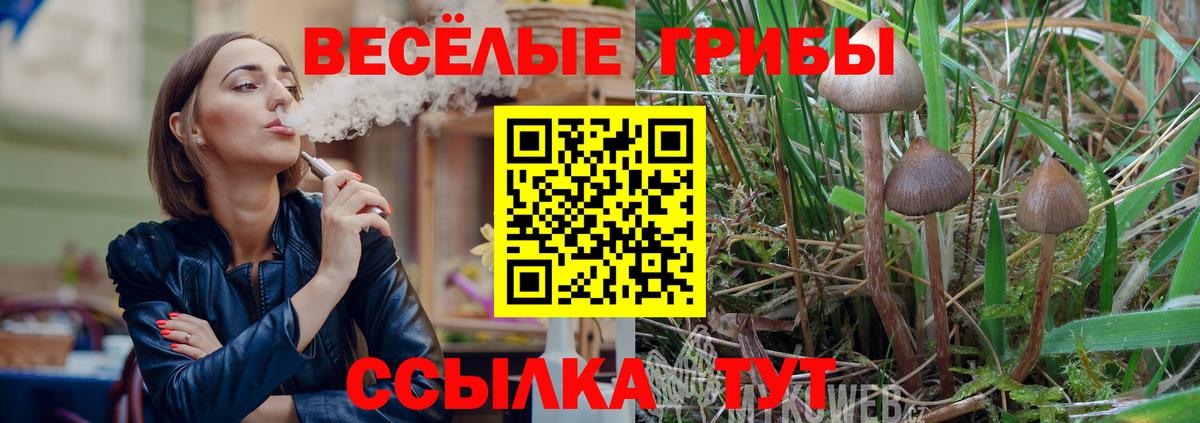 Домодедово  Галлюциногенные грибы Psilocybine cubensis  Вход с VPN 